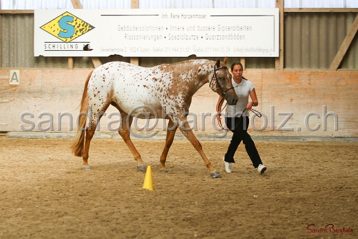 24-ApHC HIH_013.jpg
